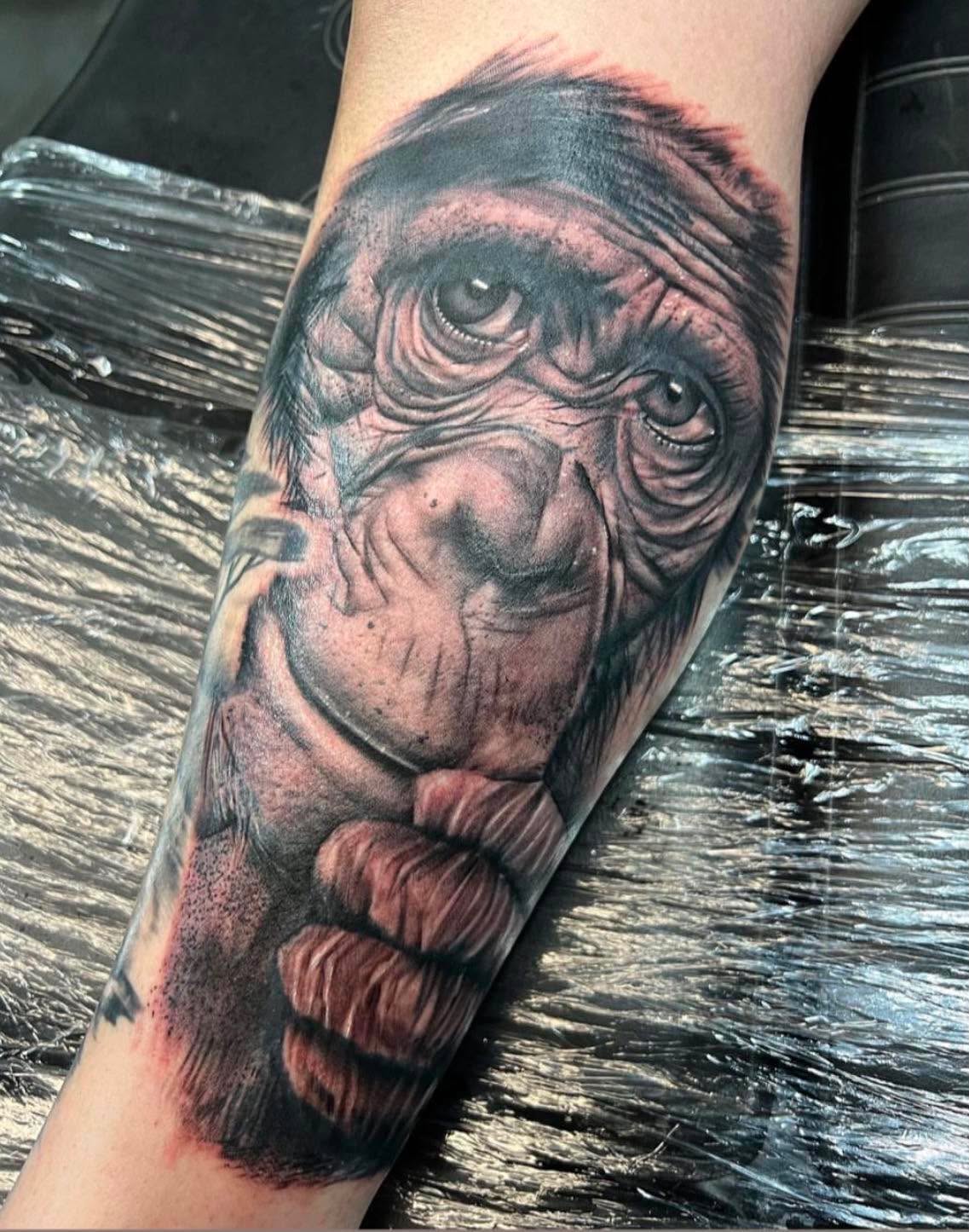 Black and grey realism chimpanzee portrait forearm tattoo by Love and Chaos Tattoo Gallery, Mudgee NSW